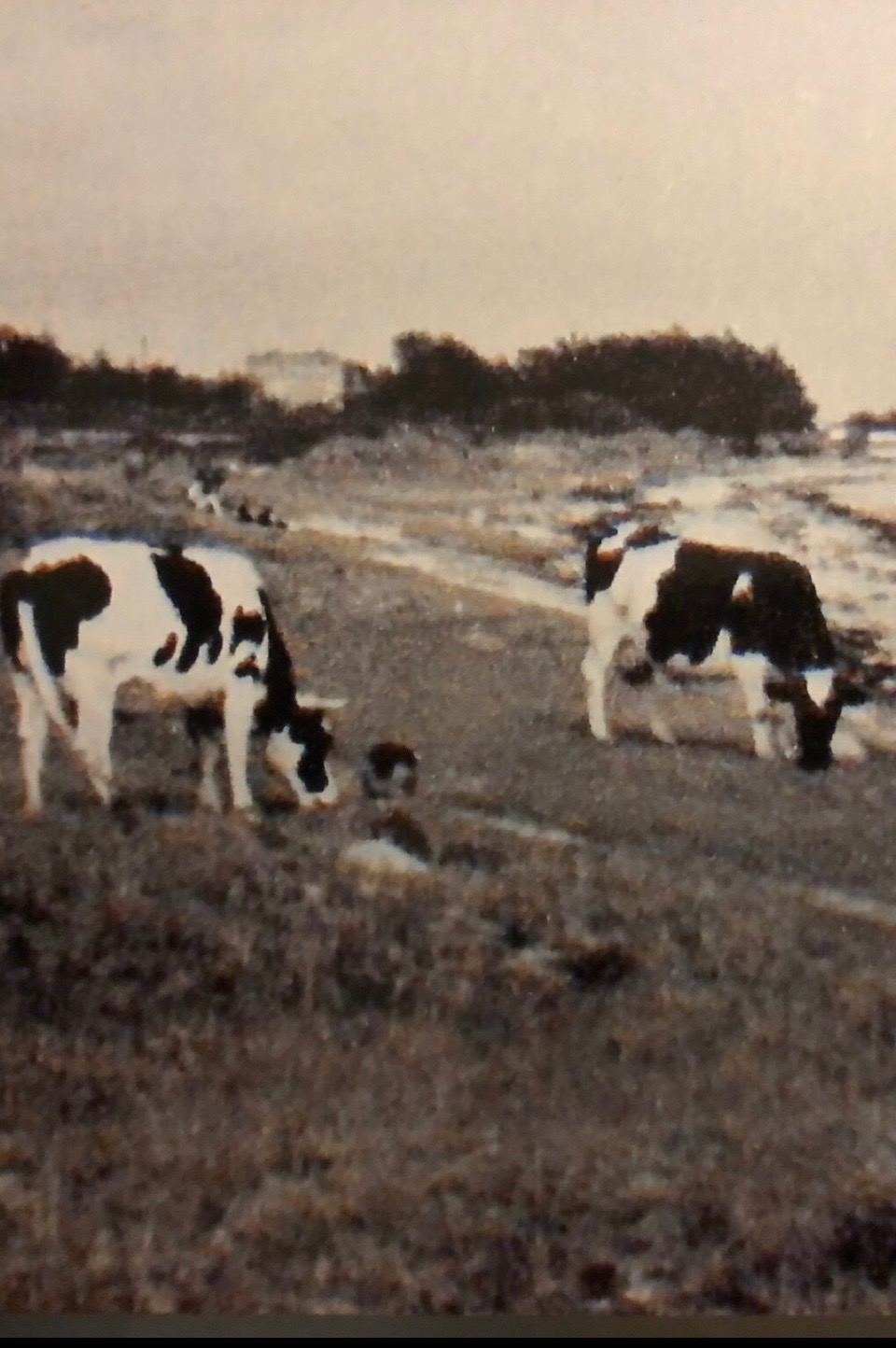 Plage de Trévenaste en 1957